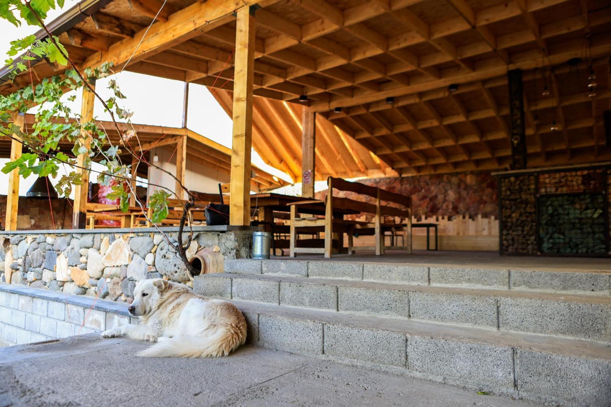 Areni Wine Art Bed & Breakfast Bagian luar foto
